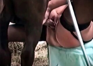 Missionary screwing with a really hot horse