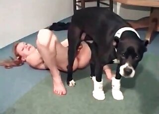 Hound's hot cock being pleasured on camera here
