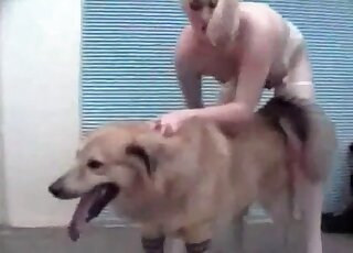 Big bad dog fucking a gaunt chick for the camera