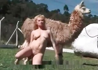 Lama is featured in this free online porno movie