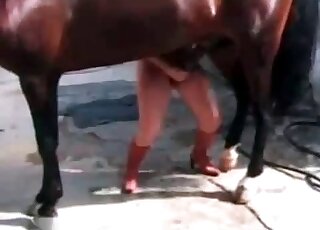 Chick in high-heeled shoes seduces a stallion