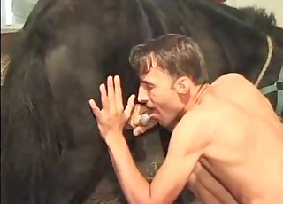 Zoophilic man sucking on a horse penis here