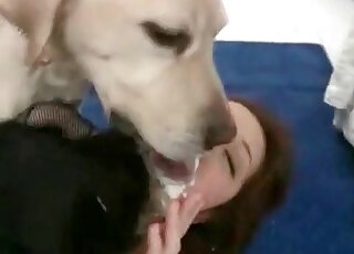 Canine licks her face after zoophilic loving