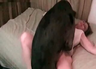 Big mutt dominates her vaginal cavity right here