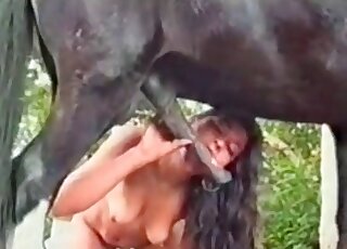Pony with huge dick gets to screw a total slut