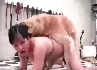 Canine porking its rightful owner vaginally