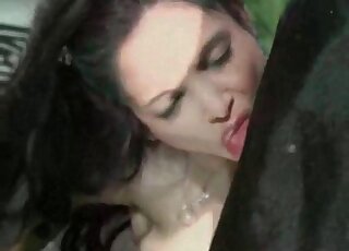 Messy blowjob captured in a zoophilic video