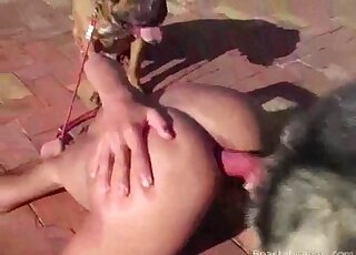 Perverse dog fuck scene that will keep you horny