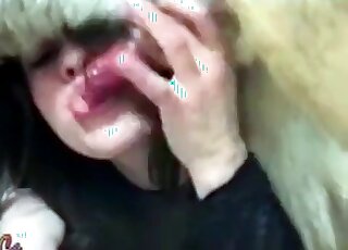 Dark-haired chick using her lips to pleasure dick