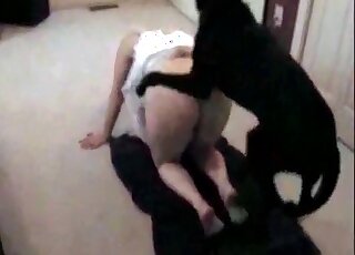 Pupper being as kinky as can be in a twisted video