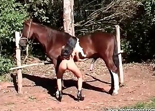 Horse can't look away from a stripping slut here