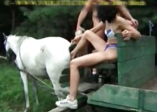 Big-assed horse gets screwed in a hot video