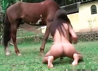Horned-up pervert getting freaky with a horse