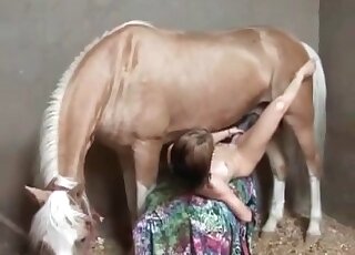Horse with a hard penis fucking a skinny gal