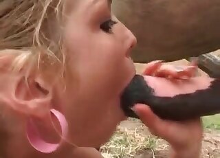 Horned-up animal enjoys a nice BJ in a hot vid