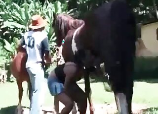 Ponies appreciating no-nonsense sex while outdoors