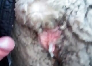 Sheep fuck movie with intense action and more