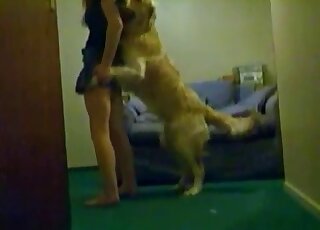 Dog wants her to expose that pussy for hot sex