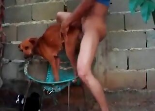 Small pup gets freaky in a zoophile porno movie