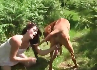 Awesome pussy hole gets destroyed by a doggo