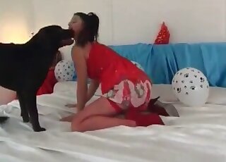 Black dog gets to screw a slim chick on cam