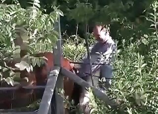 Horse enjoying violent beastiality on camera