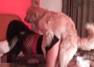Gorgeous group sex scene with a sexy-ass pupper