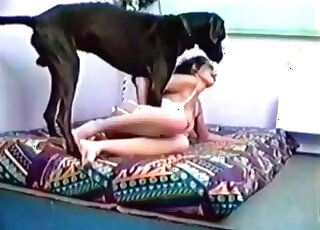 Incredible sex scene with a tight hole and a dog