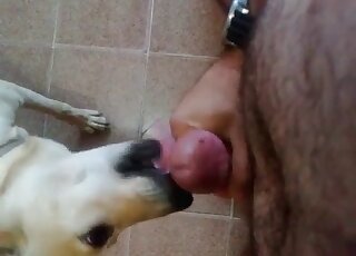 Seductive animal enjoying hot sex with a guy