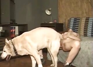 Ass to ass zoophile fuck session with a doggo