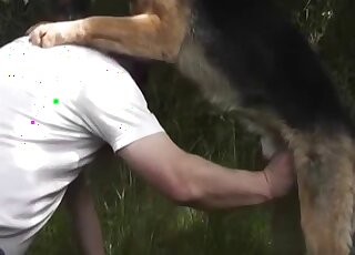 Hard sex scene with a dog and its horny owner