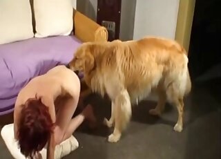 Flawless doggy and a good girl have nice fuck