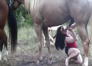 Whimpering mommy fucking a hung horse