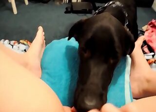 POV porno movie with a long-nosed black dog