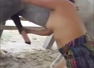 Babe stroking that beautiful horse penis