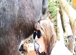 Mare pussy licking experience for twisted gal