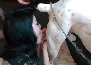 Black-haired chick is enjoying bestiality XXX