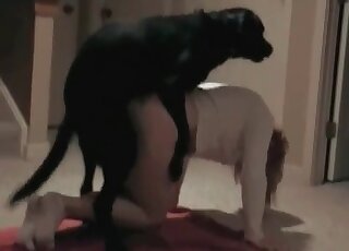 Dog is into fucking and sucking