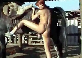 Horse is having fun with a leggy whore