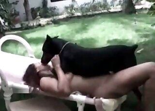 Black Doberman loves being on top