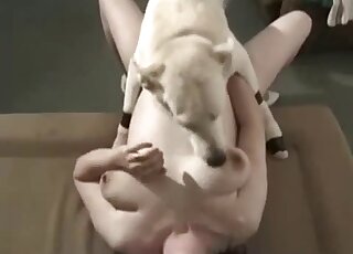 Sweet pregnant zoophile and her doggy have nasty sex