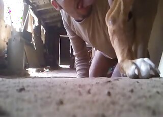 Adorable zoophile and her dog fuck on the carpet
