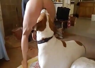 Small trained doggy fucked owner's ass from behind