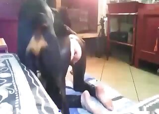 Brutal dog porn bestiality XXX with a submissive babe