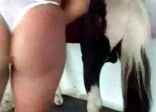 Extremely passionate zoo sex with a pony