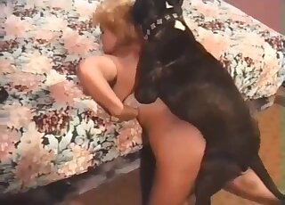 Cute black dog rammed her wet twat on cam