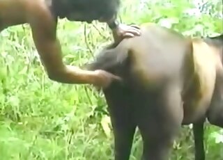 The cute animal got nicely fucked by a perverted zoo lover