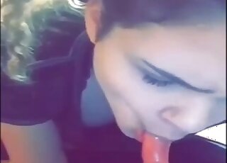 Cutie is sucking her doggy's huge dick with love