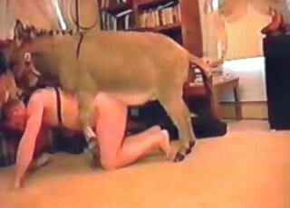 Intense bestiality with a kinky animal