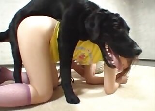 Astonishing female enjoys nasty zoo porn